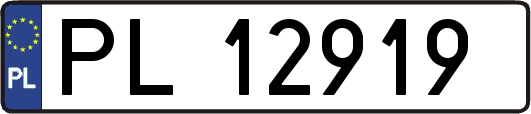PL12919