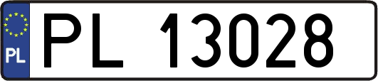 PL13028