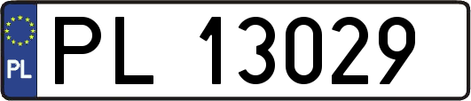 PL13029