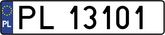 PL13101
