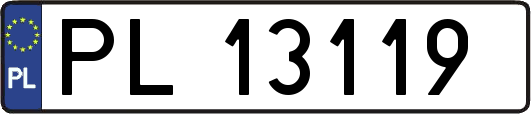 PL13119