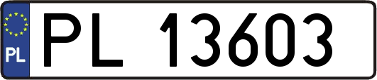 PL13603