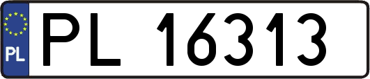 PL16313