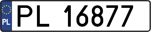 PL16877
