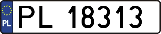 PL18313