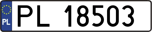 PL18503
