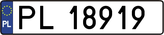 PL18919