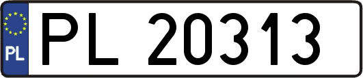 PL20313