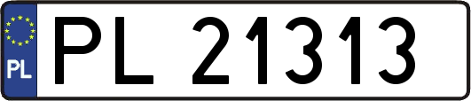 PL21313