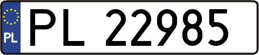 PL22985