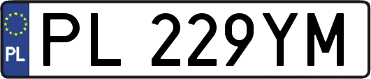 PL229YM