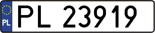 PL23919