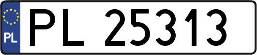 PL25313