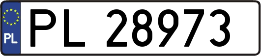 PL28973