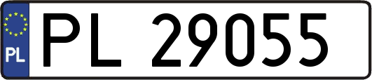 PL29055