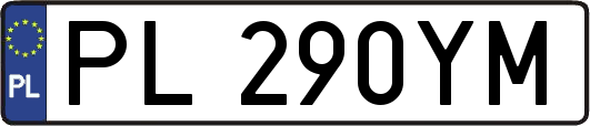 PL290YM