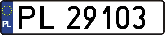 PL29103