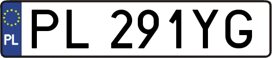 PL291YG