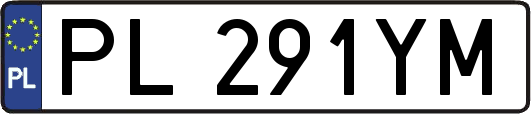 PL291YM