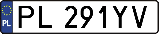 PL291YV
