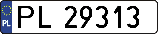 PL29313