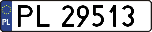 PL29513
