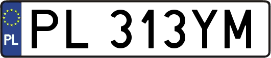 PL313YM