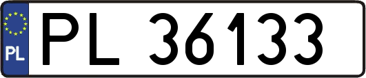 PL36133
