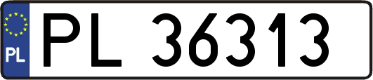 PL36313