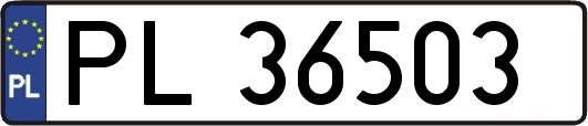 PL36503