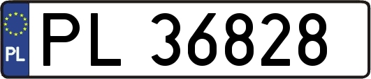 PL36828