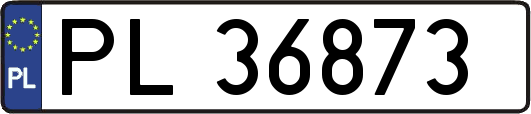 PL36873