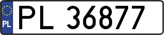PL36877