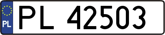 PL42503
