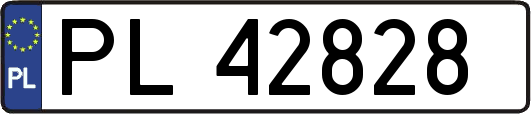 PL42828