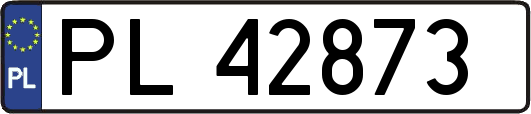 PL42873