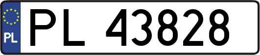 PL43828