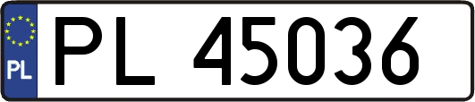 PL45036