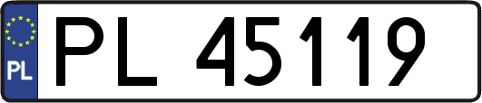 PL45119