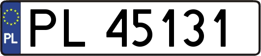 PL45131