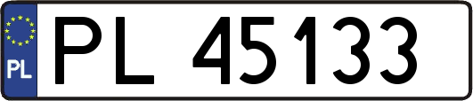 PL45133