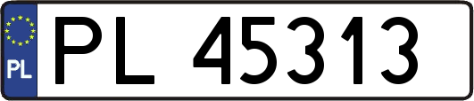 PL45313