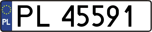 PL45591