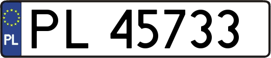 PL45733