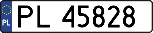 PL45828