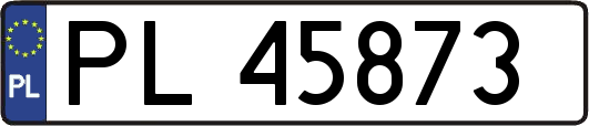PL45873