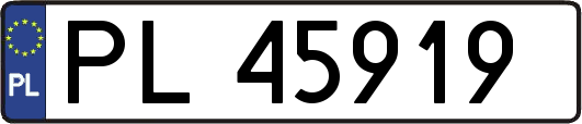 PL45919
