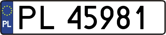 PL45981