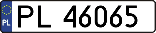PL46065