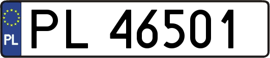 PL46501